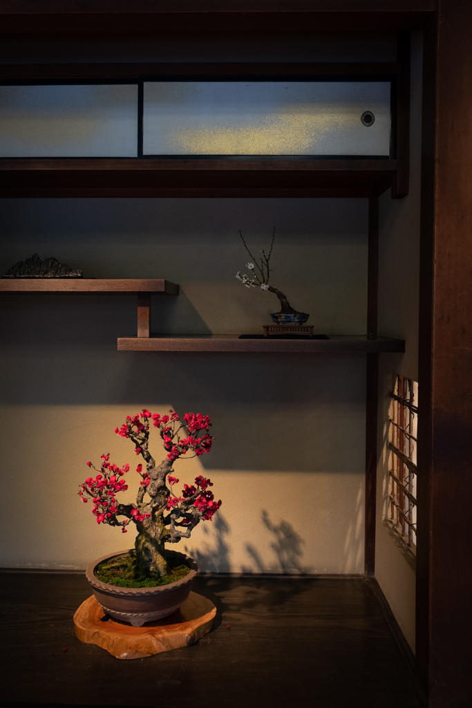 梅～冬の終わり～