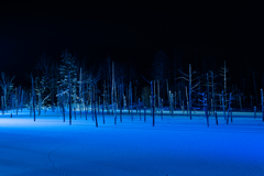 青い池の冬