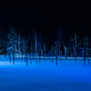 青い池の冬