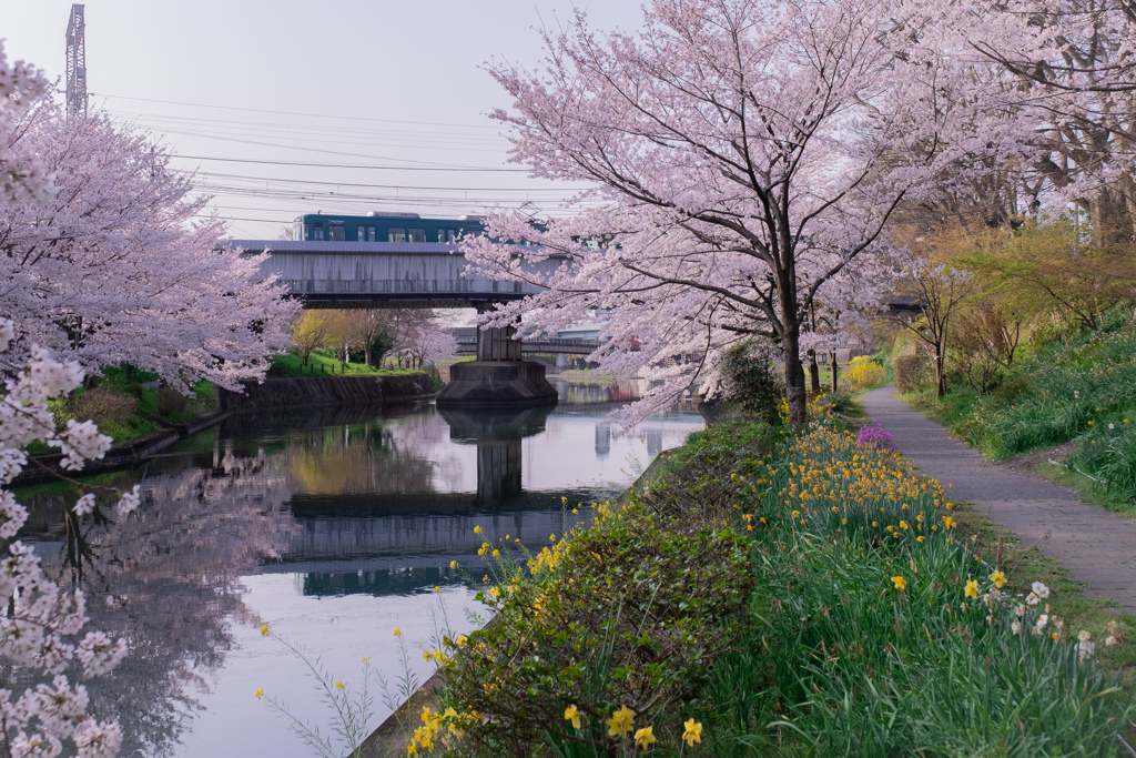 散歩道