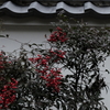 DSCF0925