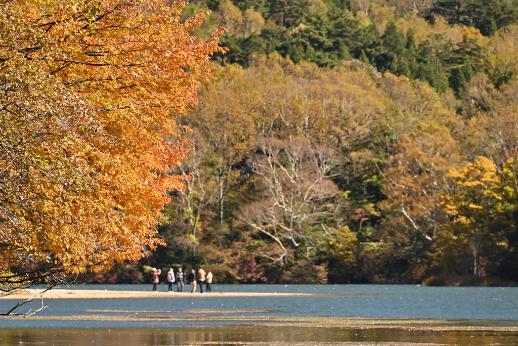 湯ノ湖の紅葉　Ⅱ