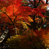 華蔵院の紅葉