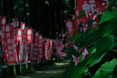 神社参道