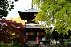 足利鑁阿寺の秋
