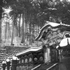 日の光　冬の日光