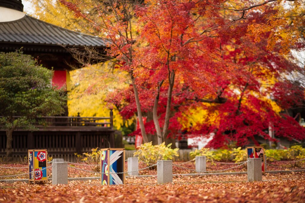秋の鑁阿寺　4