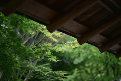雨の音