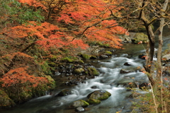 秋の桐生川　２