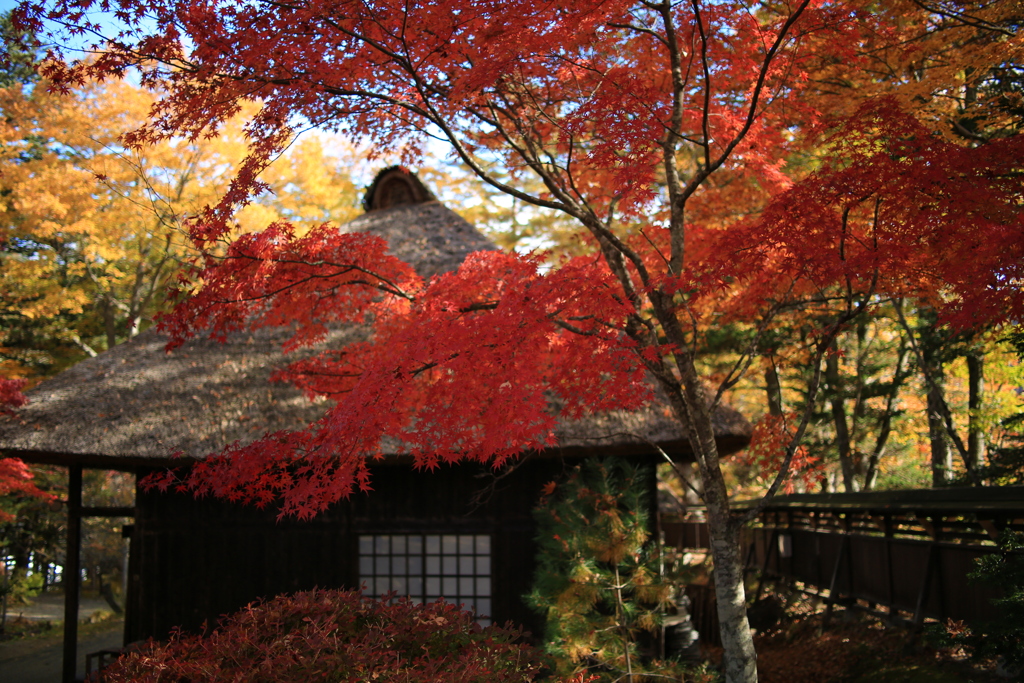 紅葉の里