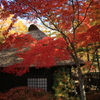 紅葉の里