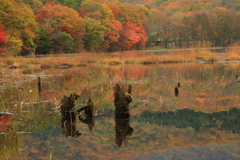 秋色模様の沼