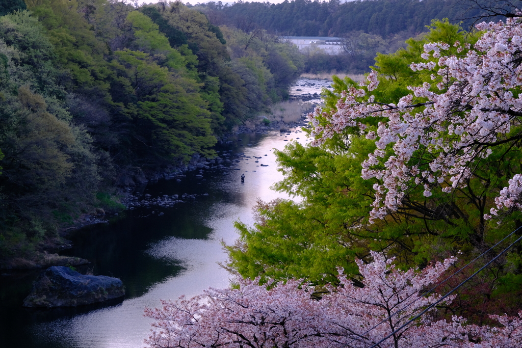 渡良瀬川