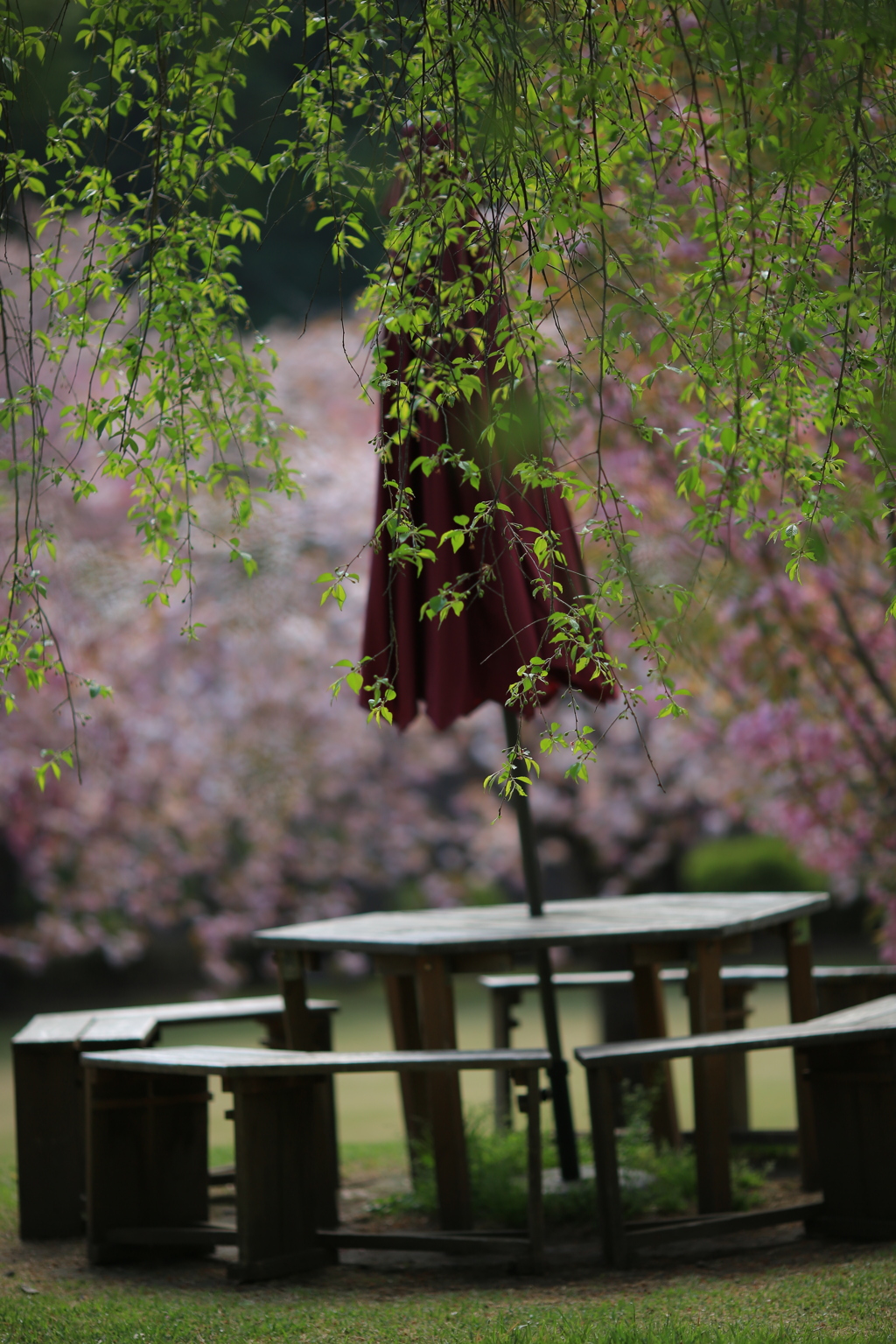 ただいま準備中