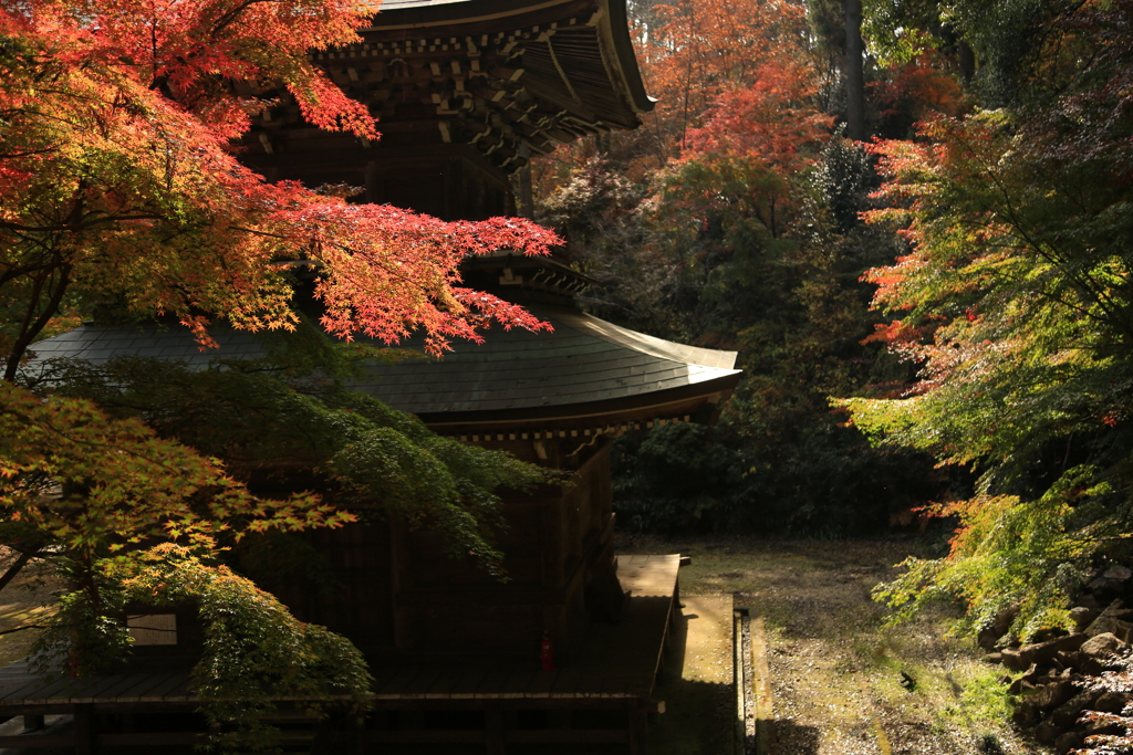 益子円通寺　Ⅱ