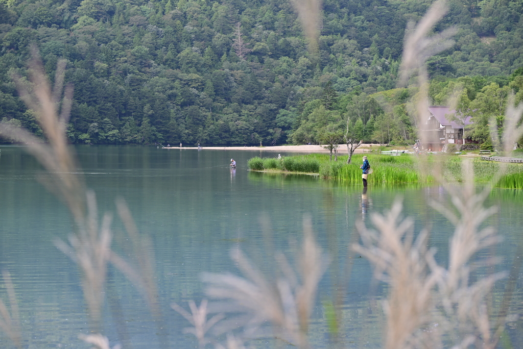 湯ノ湖