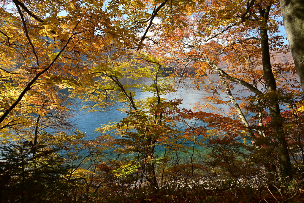 紅葉と中禅寺湖　Ⅱ