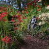 花の寺　常楽寺の彼岸花Ⅱ