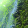 緑色の壁