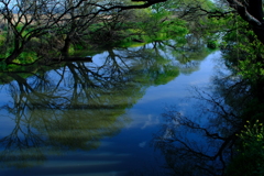 新緑映え