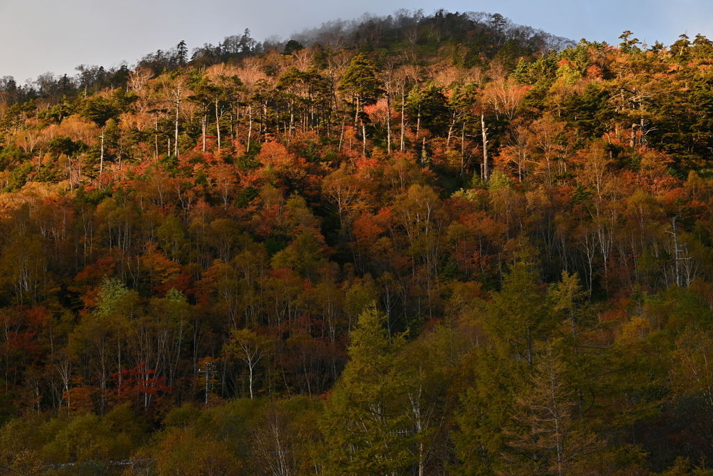 紅葉する山肌