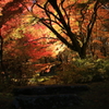 古峯園　Ⅱ