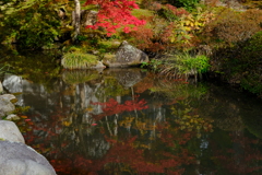 紅葉と池