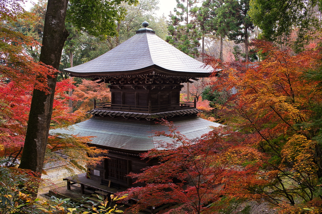 紅葉と円通寺