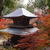 紅葉と円通寺