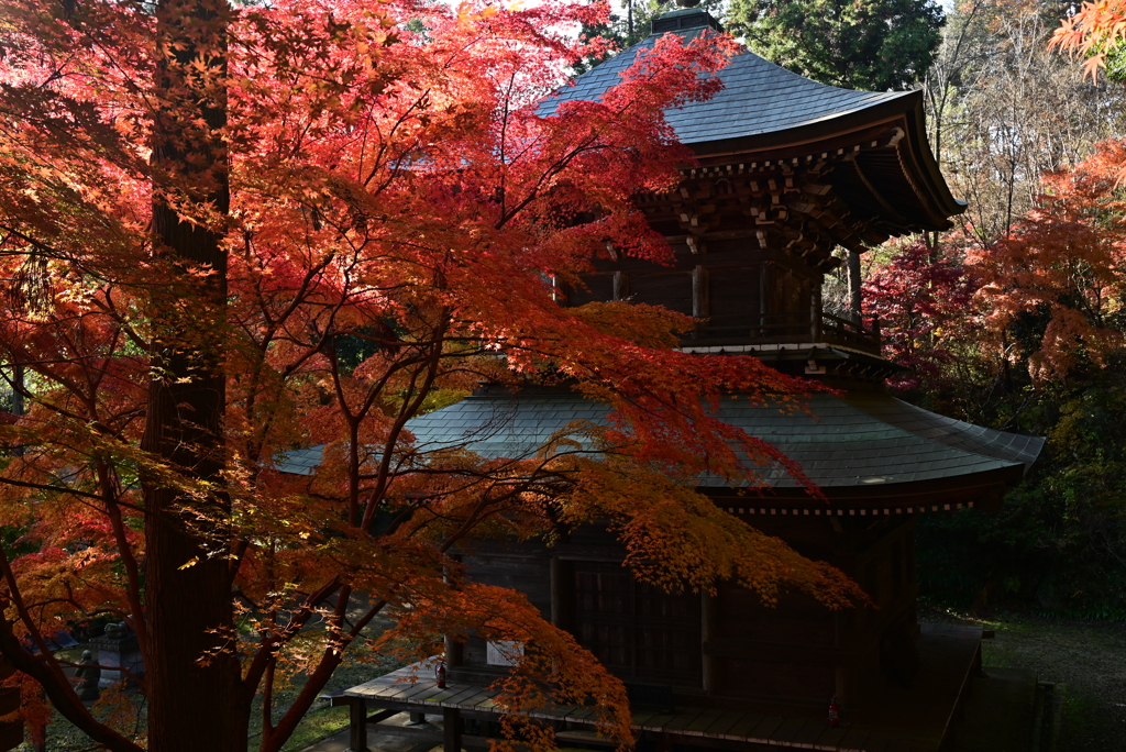 益子円通寺の紅葉