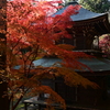 益子円通寺の紅葉