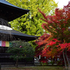 鑁阿寺の秋　Ⅱ