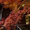 益子円通寺の紅葉　Ⅱ