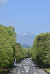 新緑の季節　②