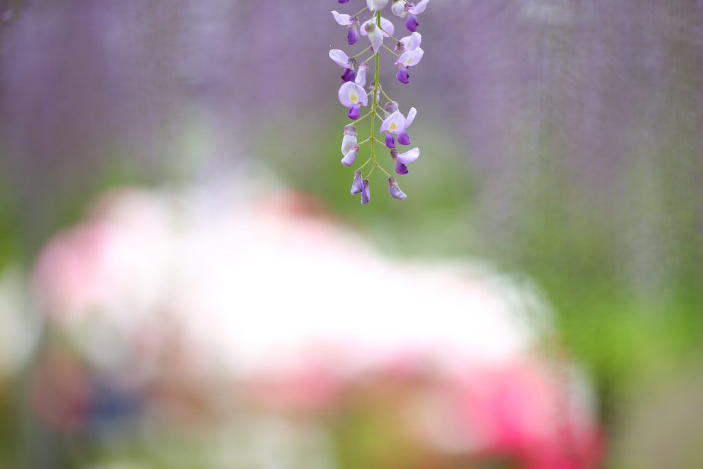 もうすこし・・・