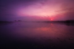 渡良瀬遊水地　22