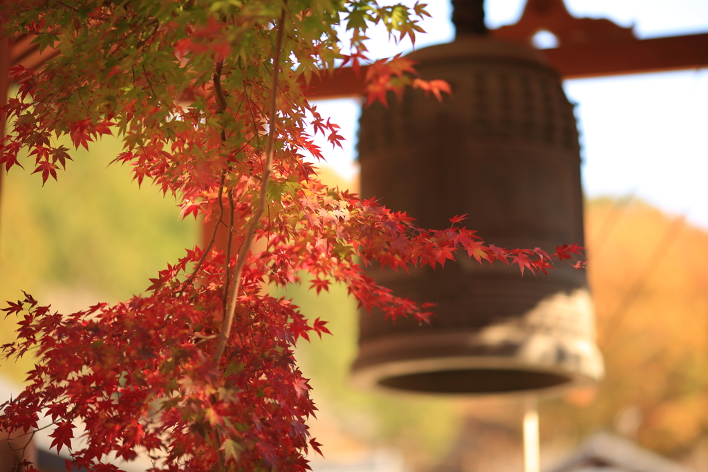 佐野金蔵院