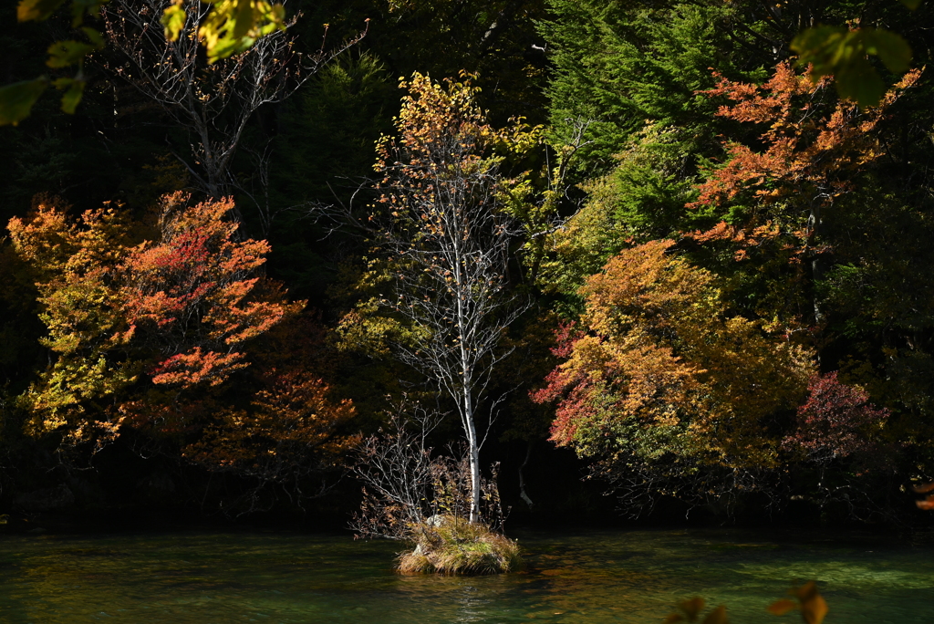 湯ノ湖の紅葉