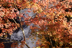 紅葉の大芦渓谷　Ⅱ