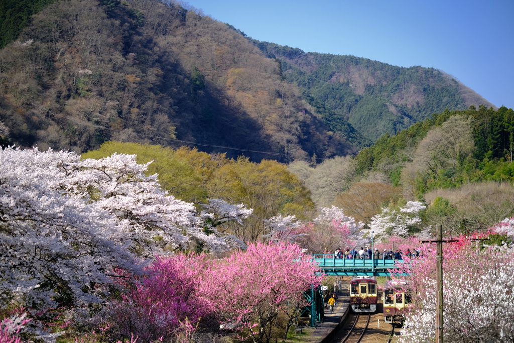 花桃の駅