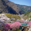 花桃の駅