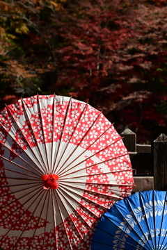 紅葉に華沿える傘