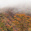 霧湧き立つ山