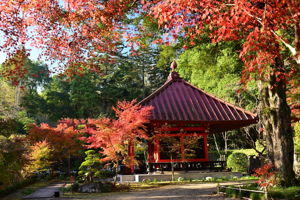 紅葉の円通寺