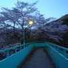 駅桜