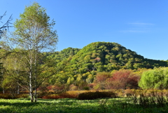 小田代ヶ原　③