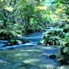 秋の木漏れ日　(3)