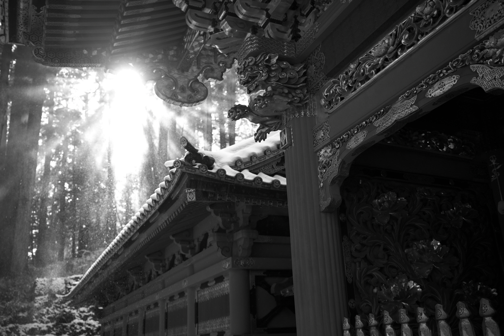 日の光　冬の日光　②