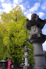 鑁阿寺の秋　Ⅲ