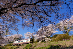 桜とわ鐵